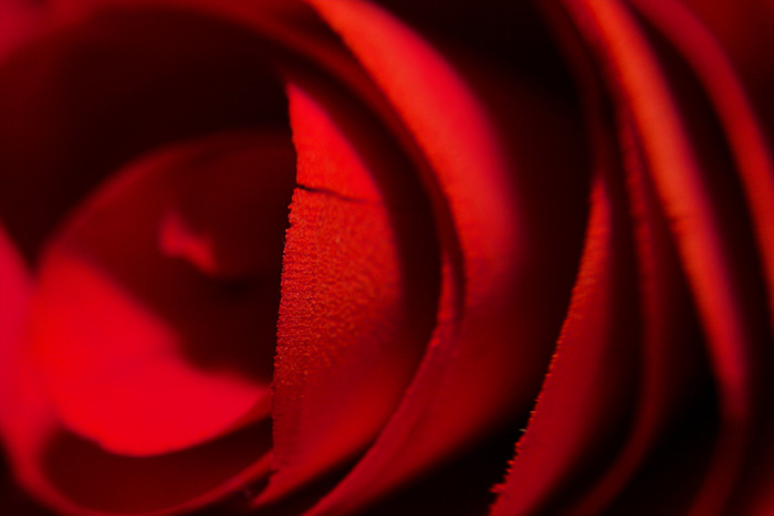 Wooden Flower