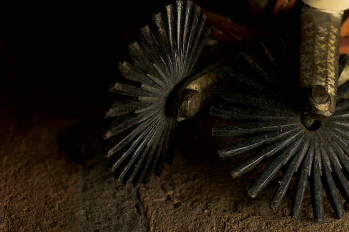 Dusty Spurs