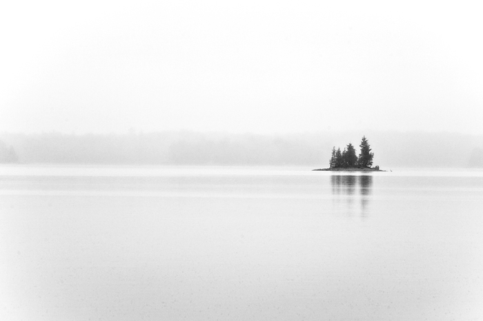 Island in the Fog