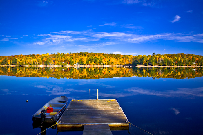 Fall Colours