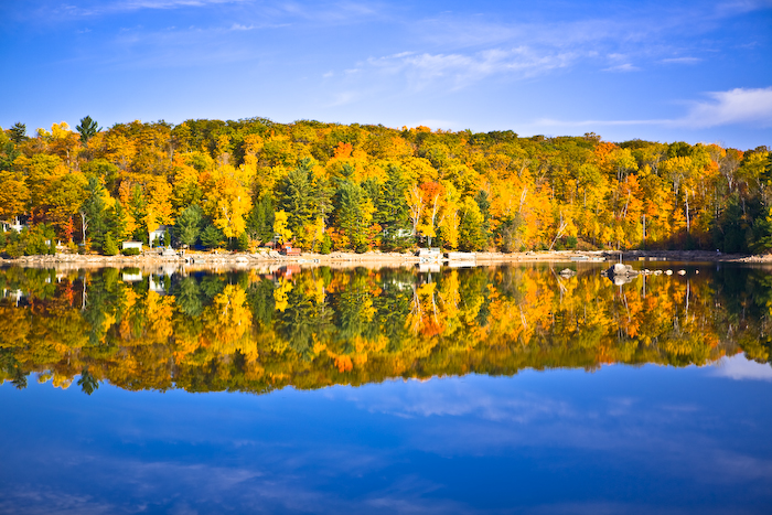 Fall Colours