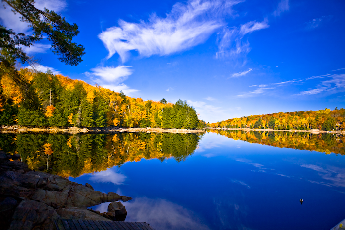 Fall Colours