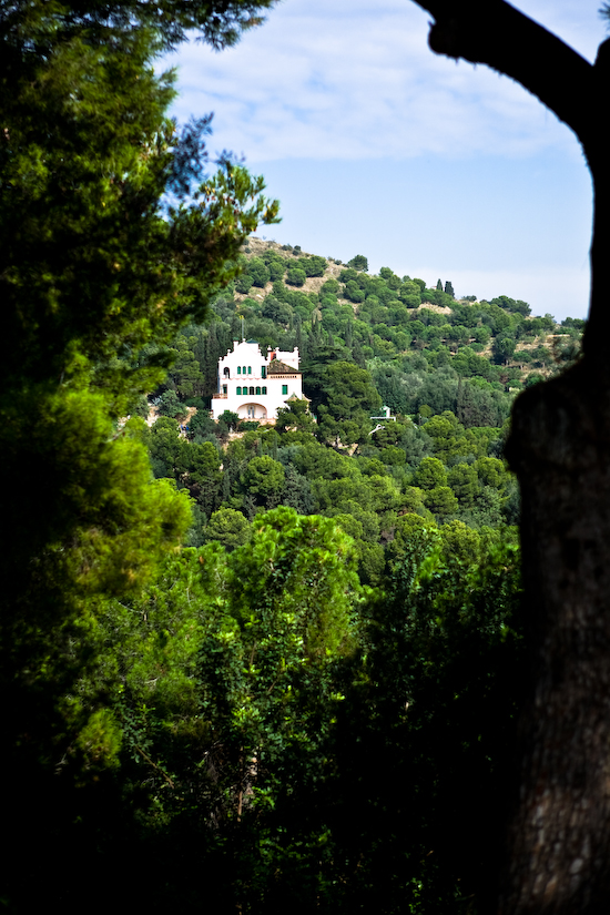 House on a Hill