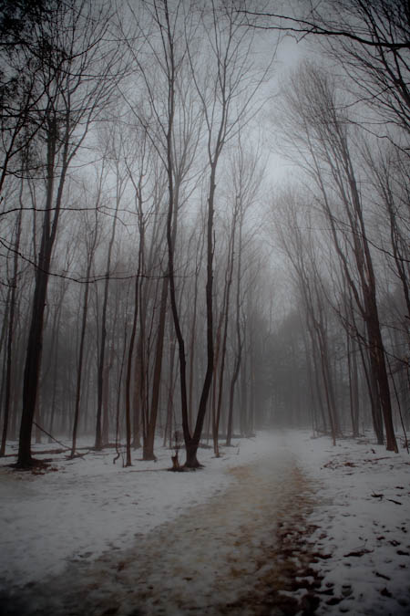 Winter Fog